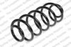 FIAT 51806125 Coil Spring